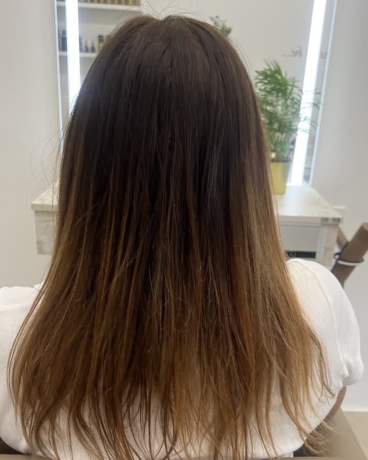 The same hair before colouring – grown-out brown with no shine